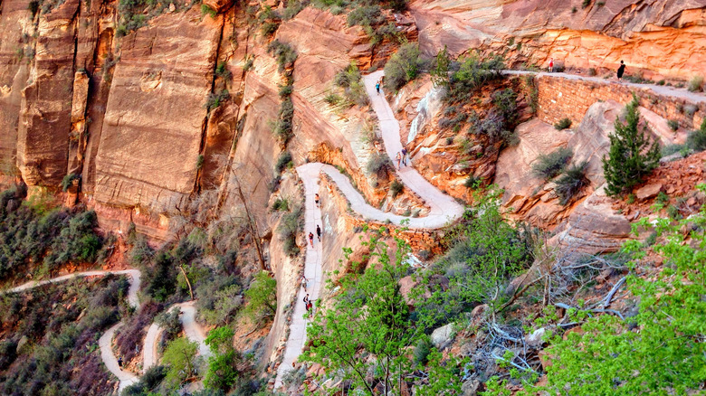 Aerial view of Walter's Wiggles in Zion National Park