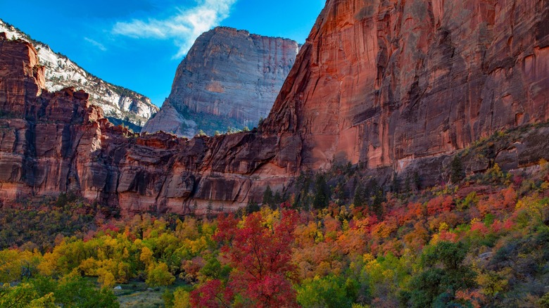 View of Zion National Park's rock walls in the fall