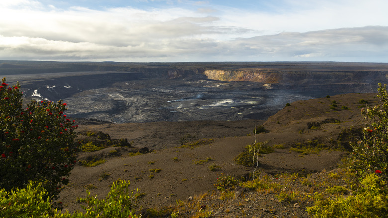 View of a volcanic crater in Hawai'i Volcanoes National Park