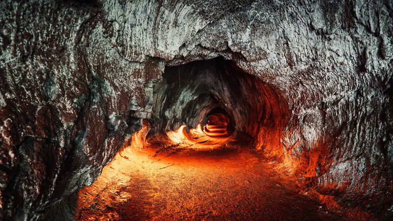 The Nahuku Lava Tube in Hawaii Volcanoes National Park