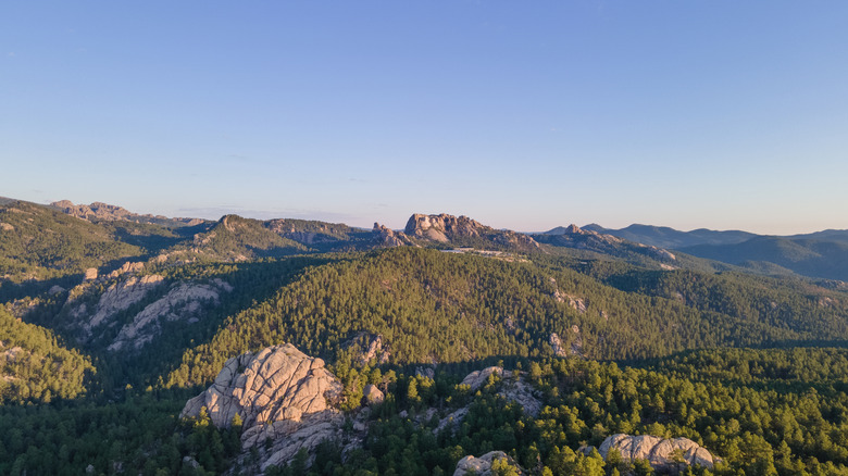 The Black Hills National Forest and Mount Rushmore in the distance