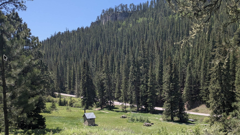 A tent campsite at the Hanna Campground in the Black Hills National Forest
