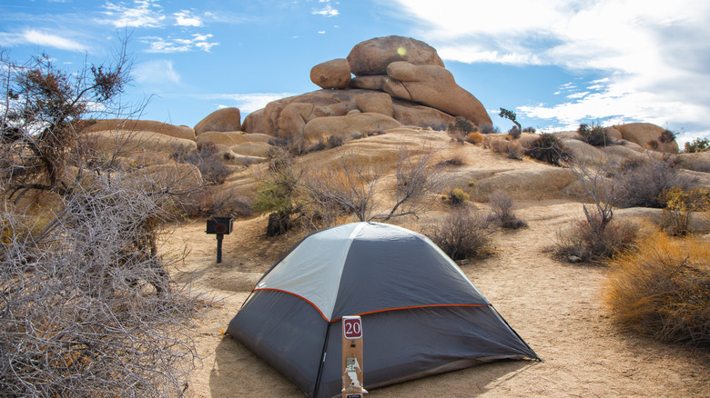 A tent campsite at Jumbo Rocks Campground at Joshua Tree National Park