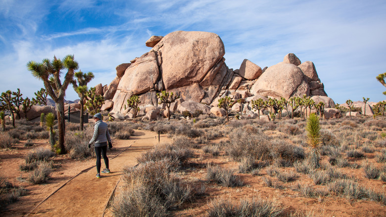 A woman walking on the Split Rock Trail in Joshua Tree National Park
