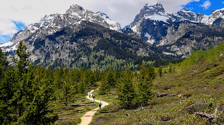 hikers walking towards mountains at Grand Teton National Park, Wyoming
