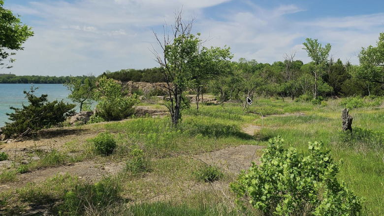 Tall green grasslands and natural scenery, with the lake in the background at Lehigh Portland State Park in Kansas