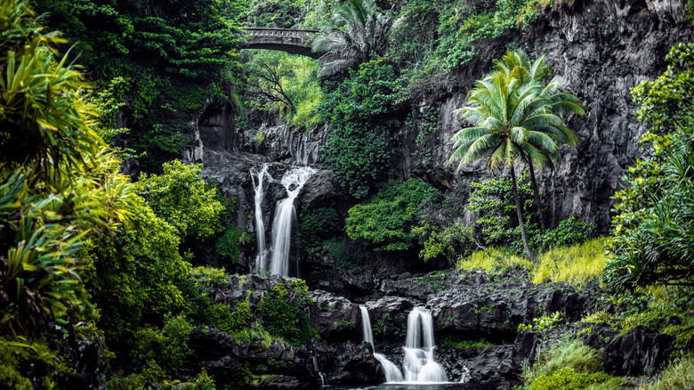 Lush tropical waterfall 'Ohe'o Gulch surroudned by greenery
