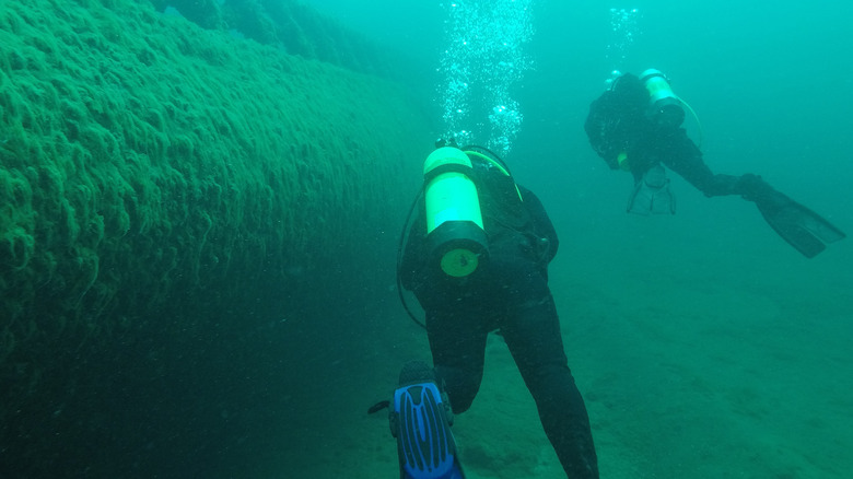 Two scuba divers dive a wreck in the Great Lakes