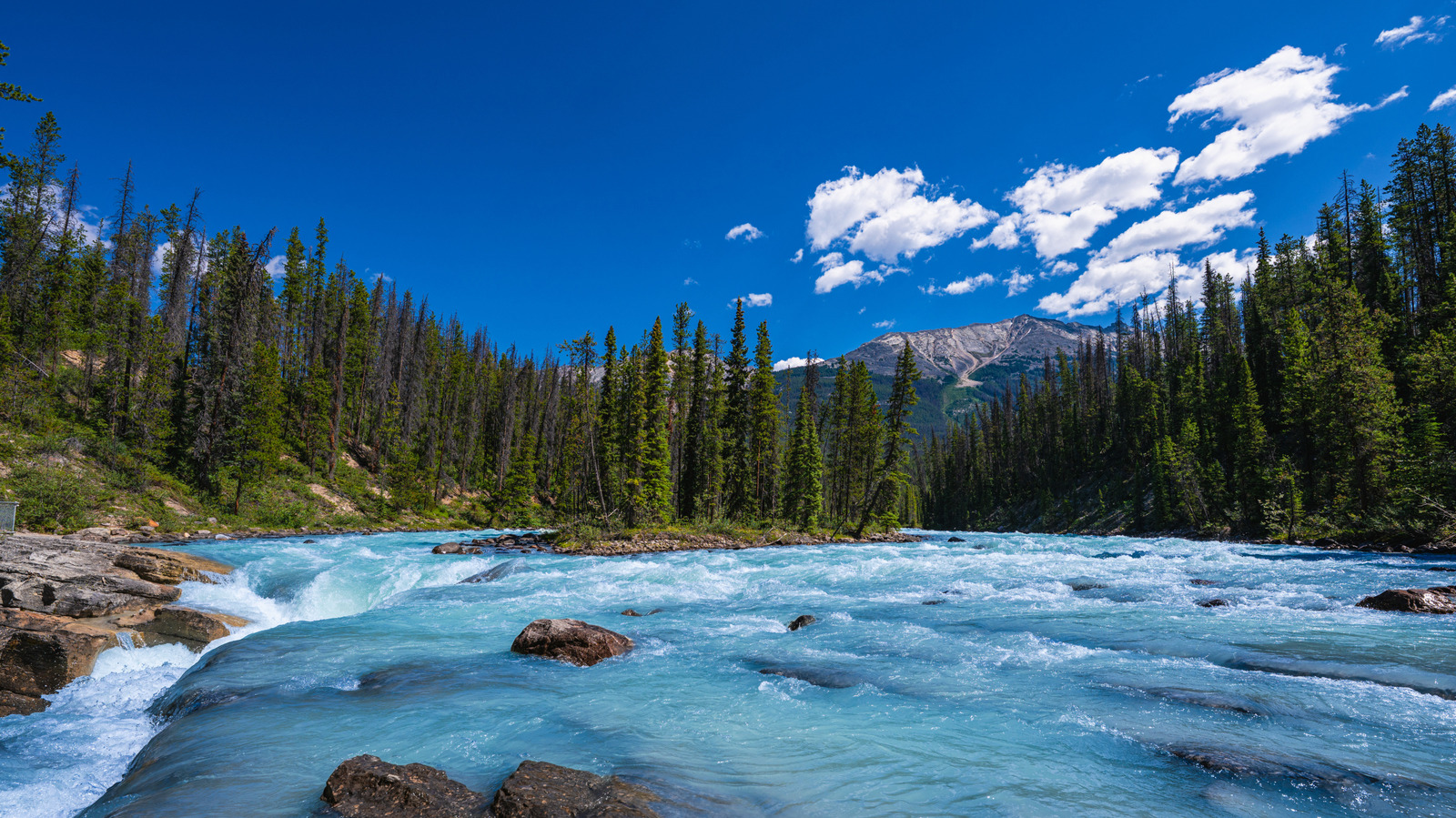 This Summer Pass Offers Free Admission And Camping Discounts For Canada's National Parks