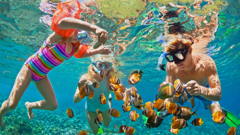 A father, mother, and child in snorkeling masks dive underwater with tropical fishes.