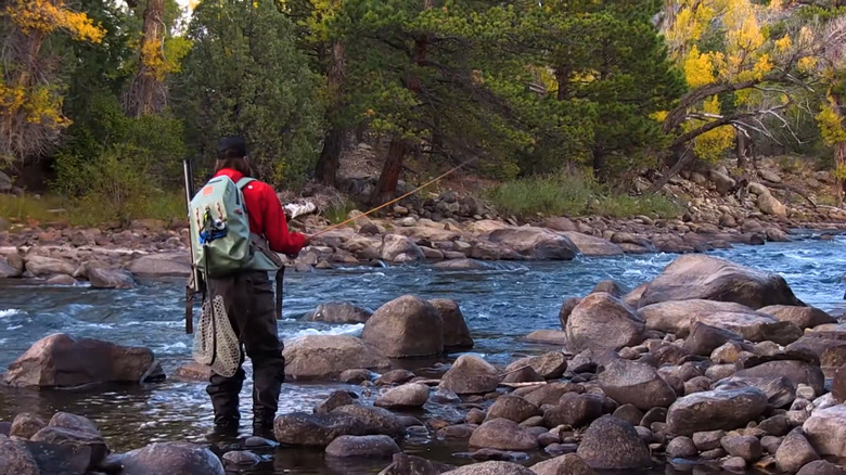Person fishing at the Arkansas Headwaters Recreation Area
