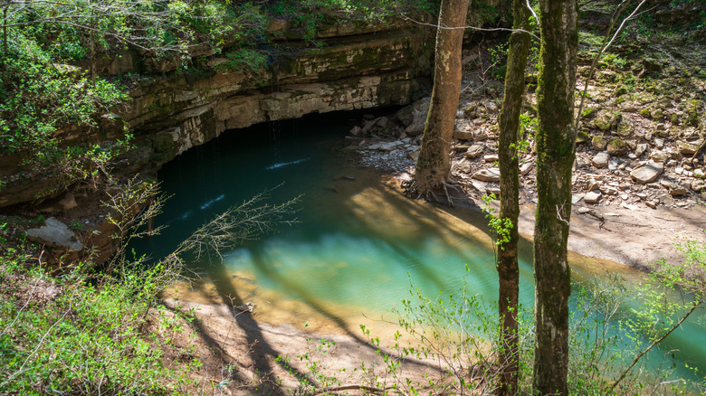 Turquoise river water in a dense forest