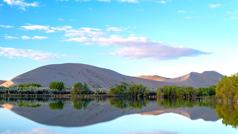 A reflection of a dune at Bruneau Dunes State Park