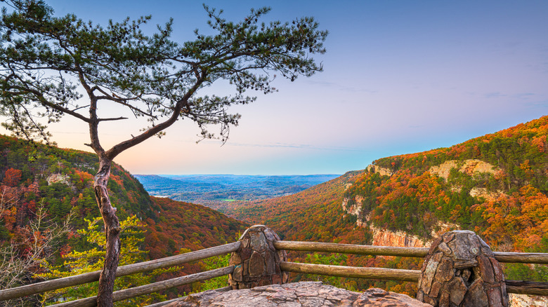 Overlook at Cloudland Canyon State Park in Georgia