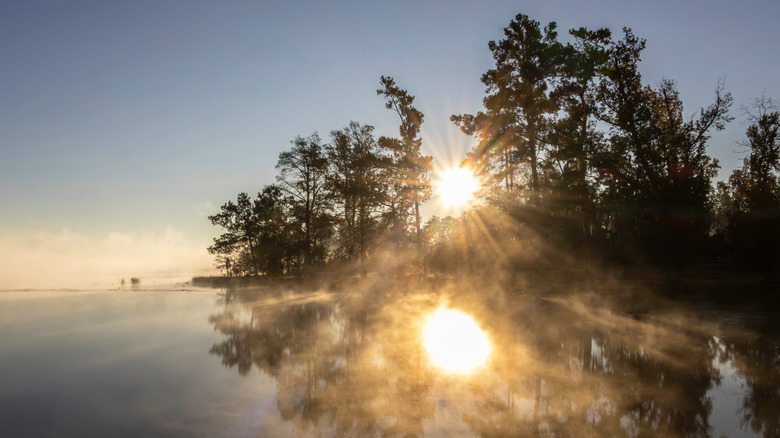 A misty sunrise behind trees at Lake Seminole in Three Rivers State Park