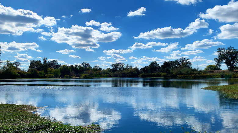 A portion of the San Joaquin River in California, with trees in the background and blue skies with clouds