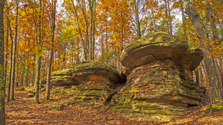 Garden of the Gods in Shawnee National Forest in Herod, Illinois