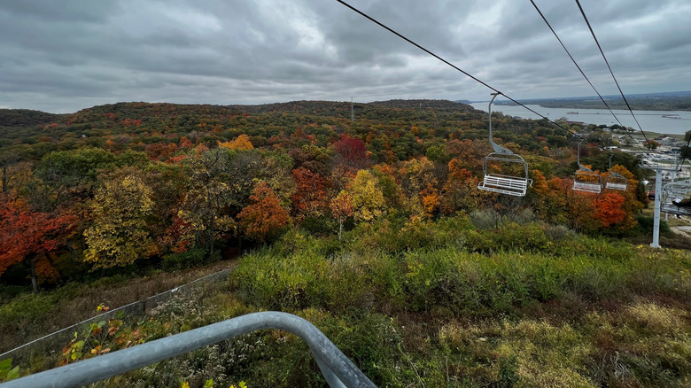 Fall foliage on a sky tour of Grafton, Illinois