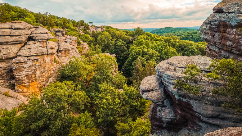The Garden of the Gods in Shawnee National Forest