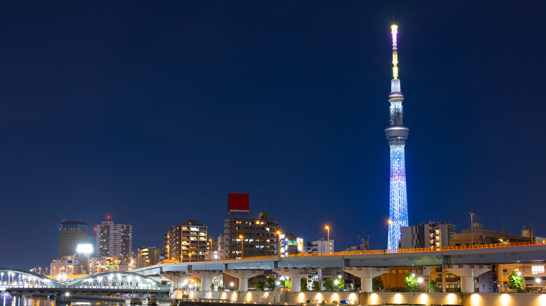 Night view of the Tokyo Skytree towering above the city skyline