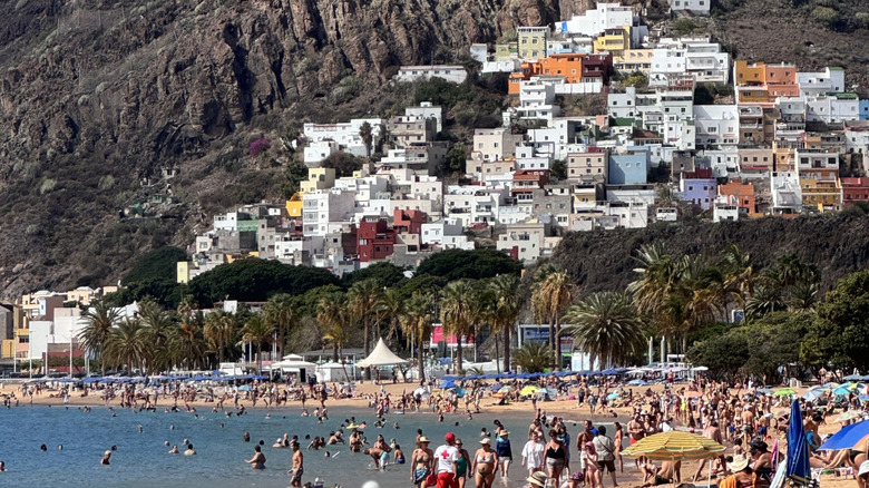 Crowded shoreline full of beach-goers in the Canary Islands with palm trees and cliff-side dwellings in the background.