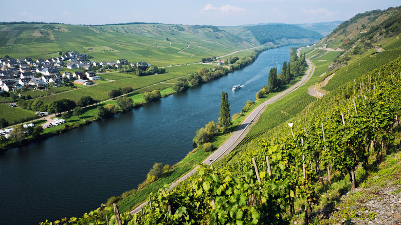 Aerial view of a boat on the Mosel River in Germany lined with vineyards, green hills, and small buildings, near Trier