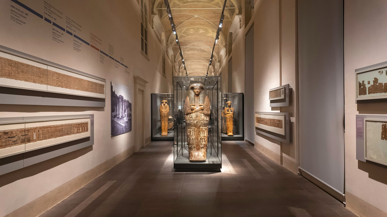 Interior view of Turin's Egyptian Museum featuring ancient sarcophagi and papyrus scrolls
