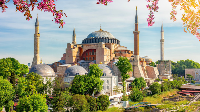 View of Hagia Sophia Grand Mosque from a distance on a clear sunny day with pink flowers framing the foreground