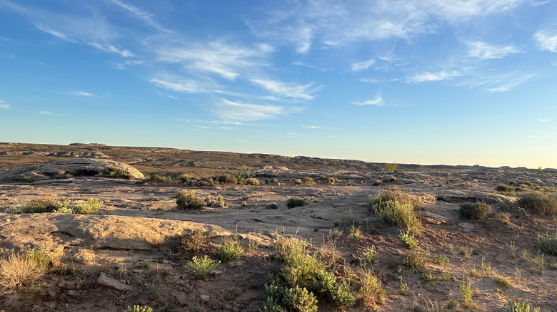 The desert landscape at Utahraptor State Park, near Moab, Utah