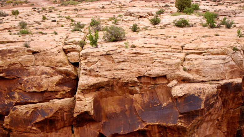 A cliff ledge above Mill Canyon, along the Willow Springs Loop trail in Utahraptor State Park, Utah