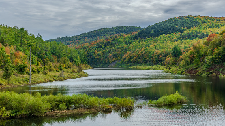 The West River in Green Mountain National Forest in Mendon, Vermont