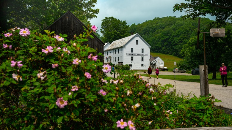 The Plymouth Cheese Company on a sunny summer day