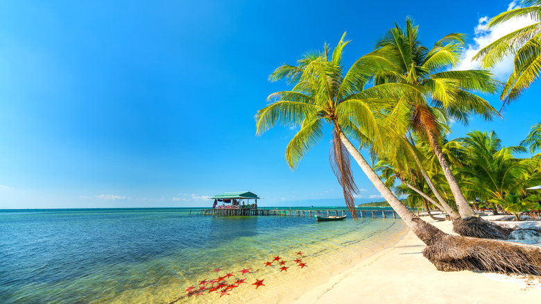 Seascape with tropical palms on beautiful sandy beach in Phu Quoc island, Vietnam.