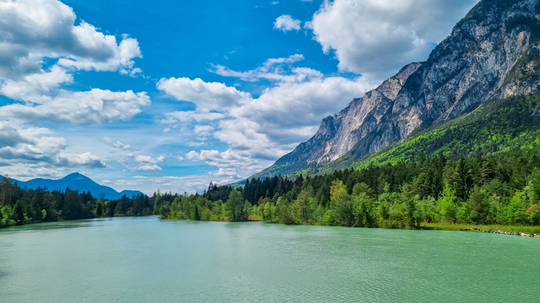 A river flows through Dobratsch Nature Park