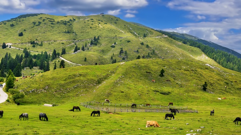 View of Dobratsch mountain from Villach Alpine road, Austria