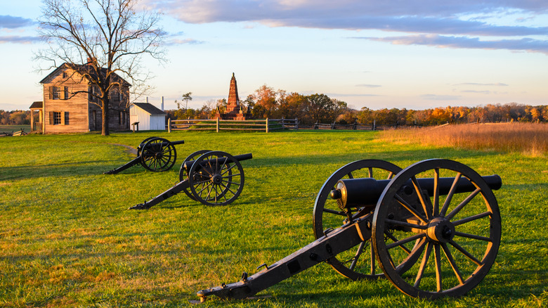 A row of canons at Manassas National Battlefield