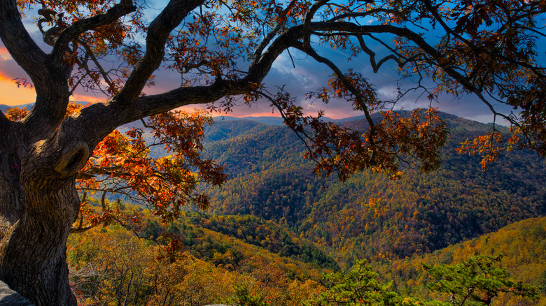 Shenandoah National Park viewed from Skyline Drive