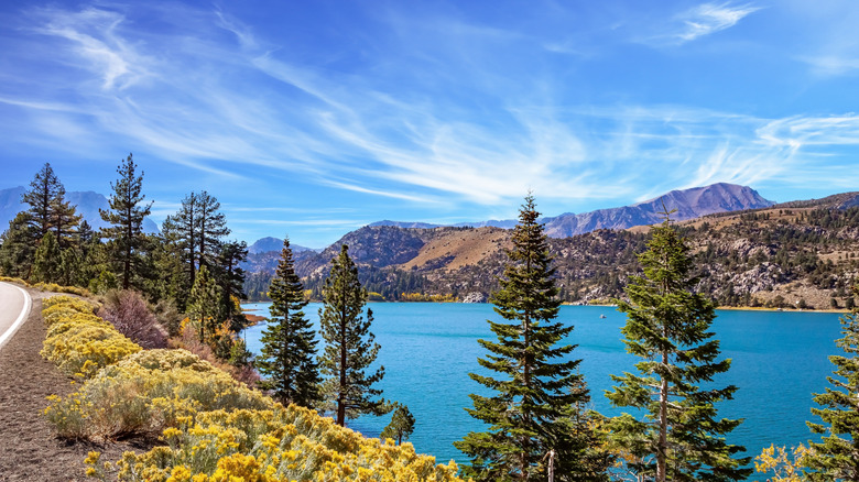 Turquoise water of a lake to the right of a road lined with wildflowers, mountains in background