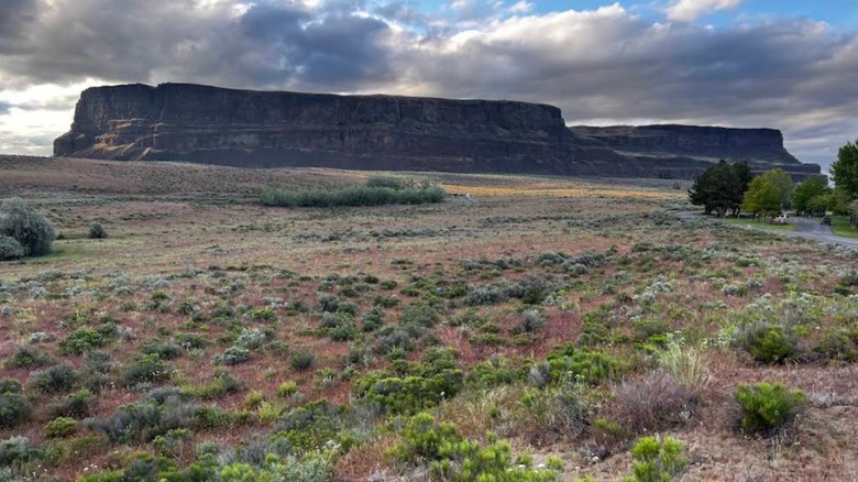 The scenery at Steamboat Rock State Park in Washington