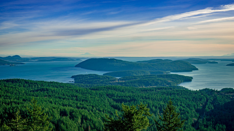 A forested area with water in the background, pictured from above