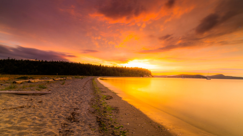 Sunset over a beach with a forest in the background