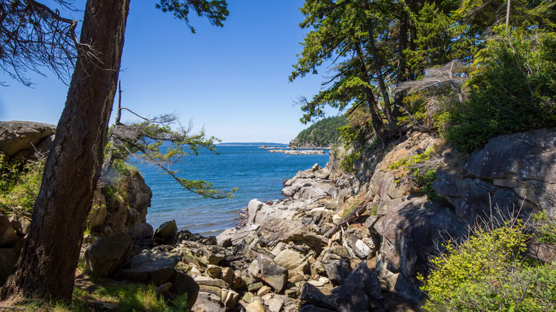 A rocky shoreline with trees and water in the background