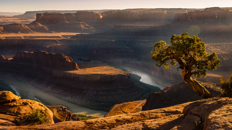 Dead Horse Point over the Colorado River, Utah
