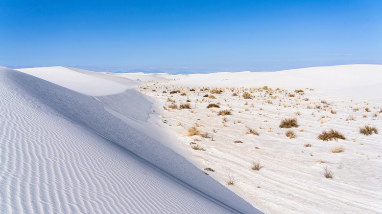 Dunes stretching across the horizon at White Sands National Park
