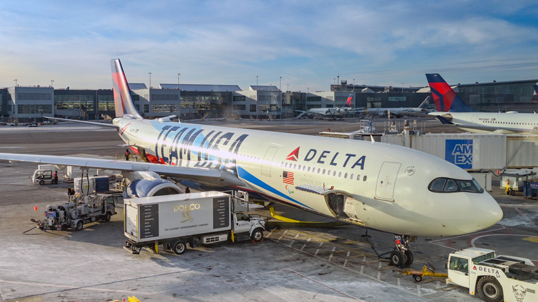 A Delta Air Lines plane is grounded at an airport terminal in New York.