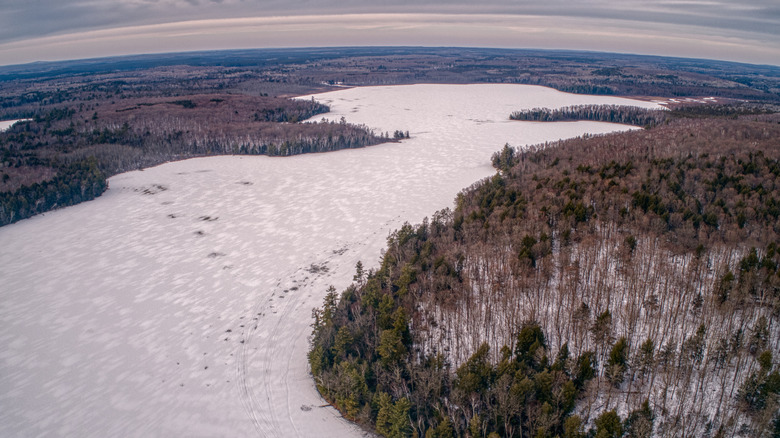 An aerial view of Chequamegon-Nicolet National Forest in Rhinelander, Wisconsin