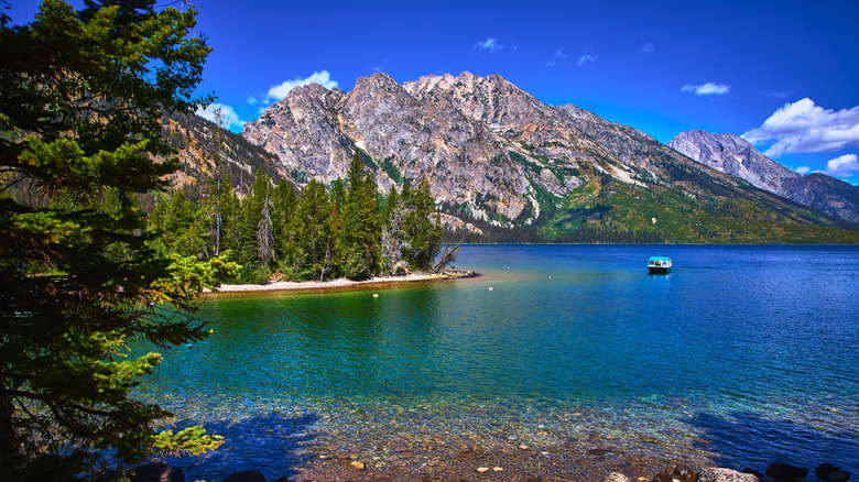 The tree-line shores of Jenny Lake in Grand Teton National Park, Wyoming
