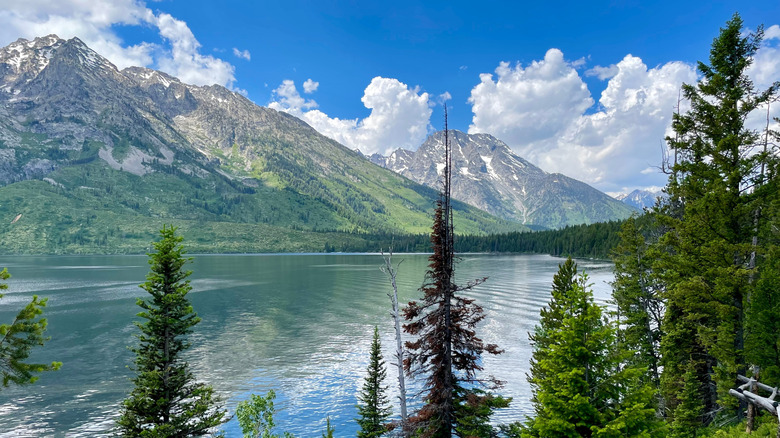 Grand Teton National Park Landscape at Jenny Lake, Wyoming