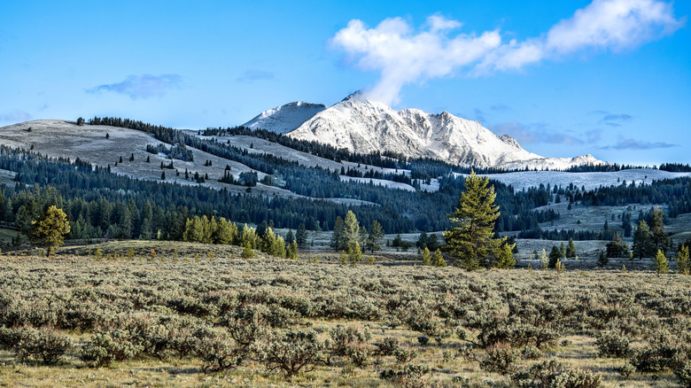 Vista of Yellowstone National Park with mountain