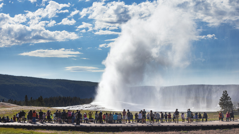 A large group of tourists look at the Old Faithful geyser